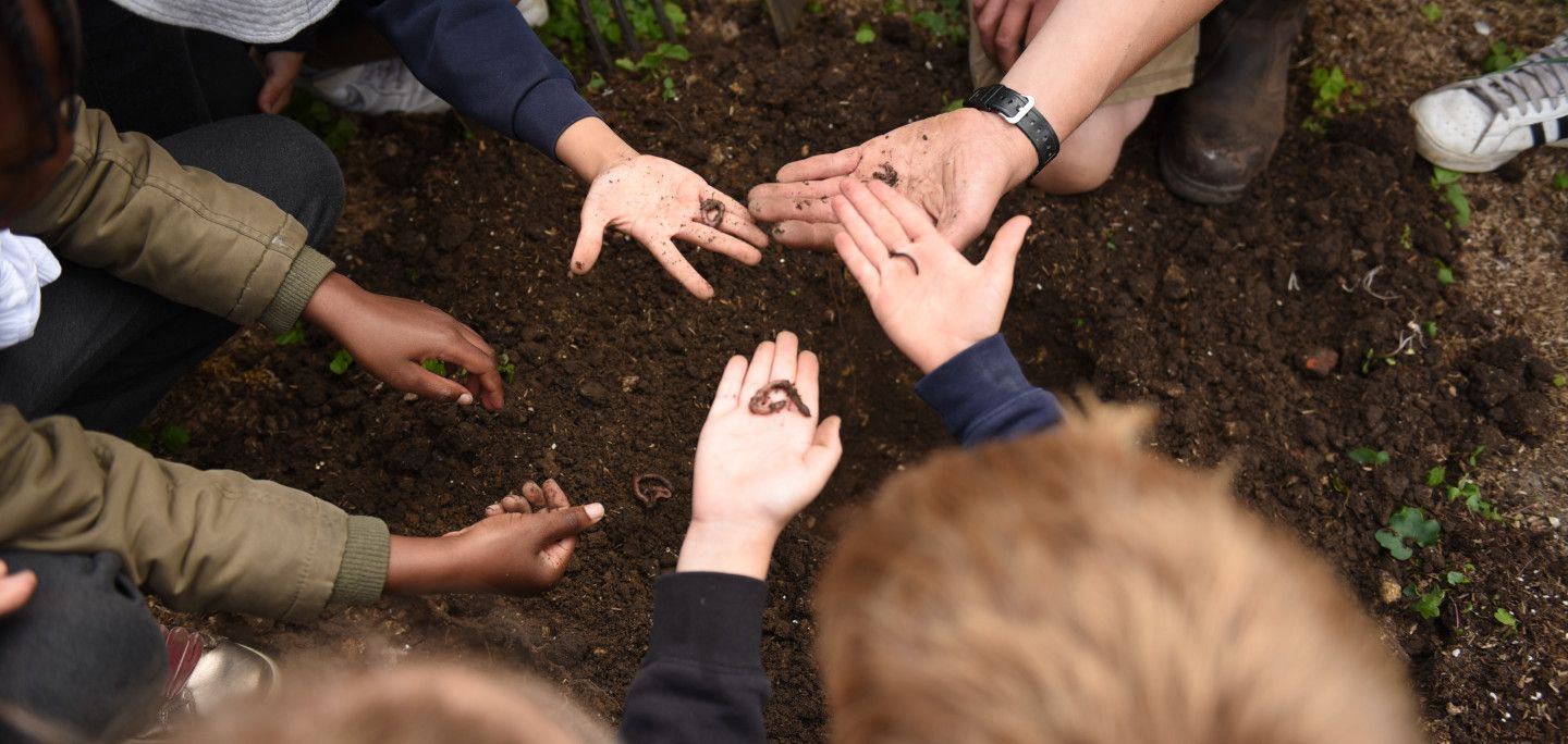 children with hands in soil looking at worms