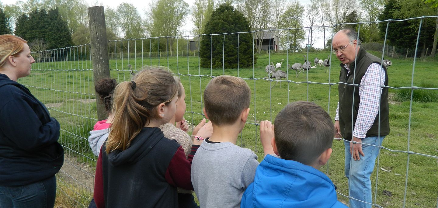 Jonathan talks to children about Rheas, a large bird closely related to the ostrich