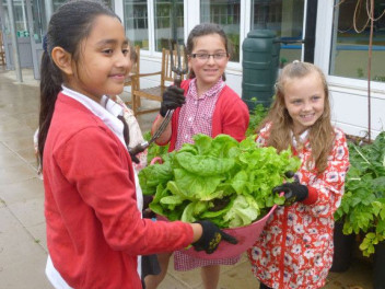 children growing food in their school