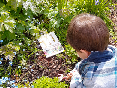 Child looking at book in soil