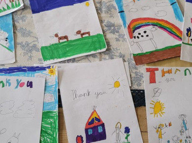 thank you cards