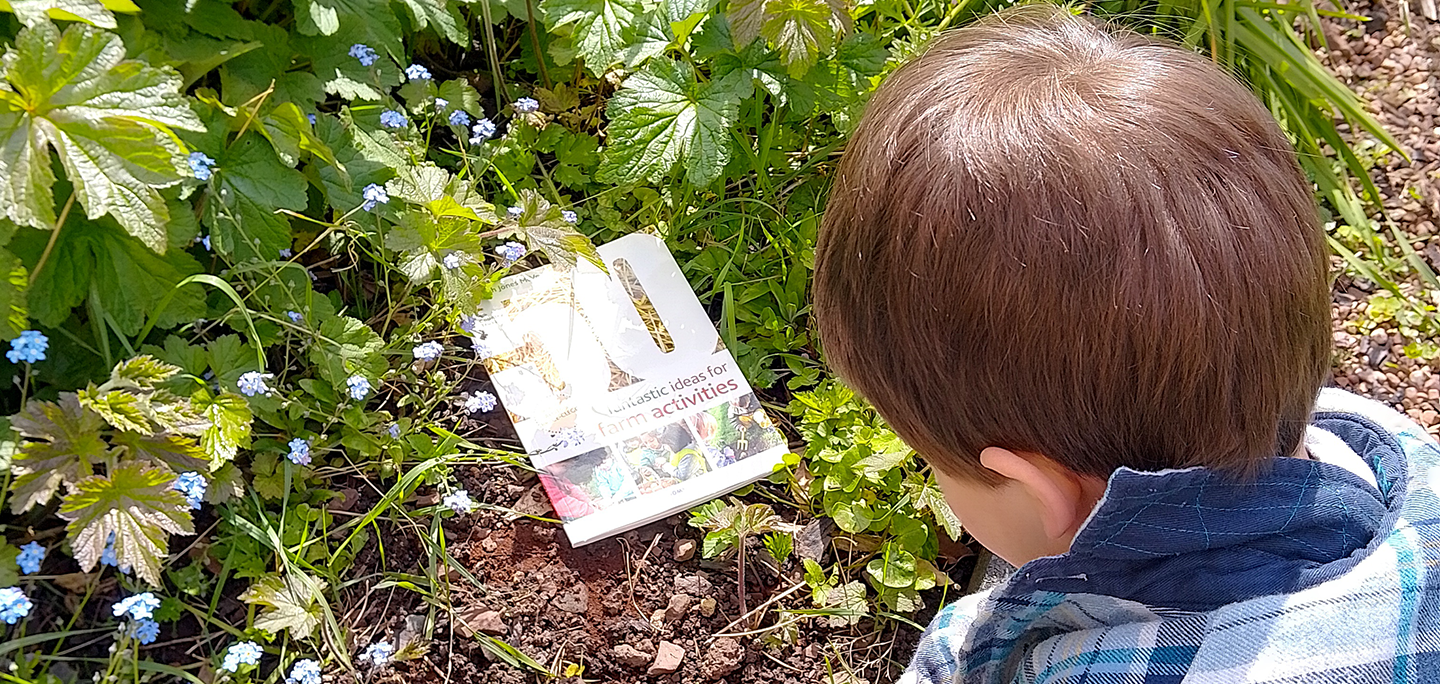 Child looking at book