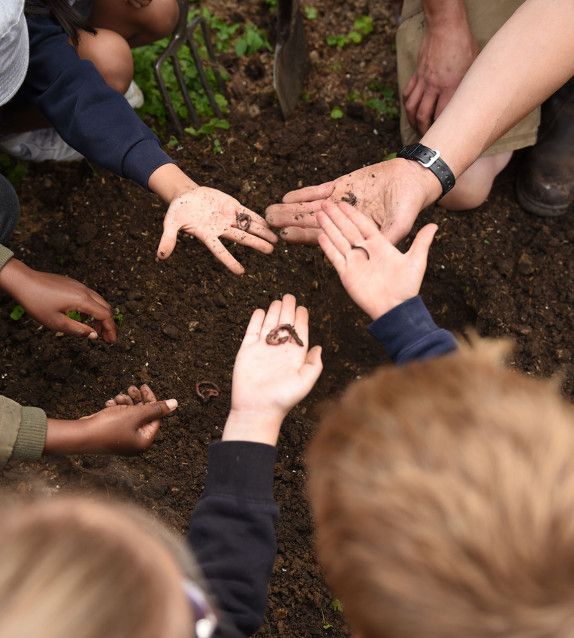 children with hands in soil looking at worms