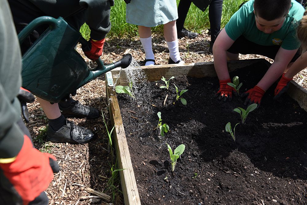 children looking and feeling the soil