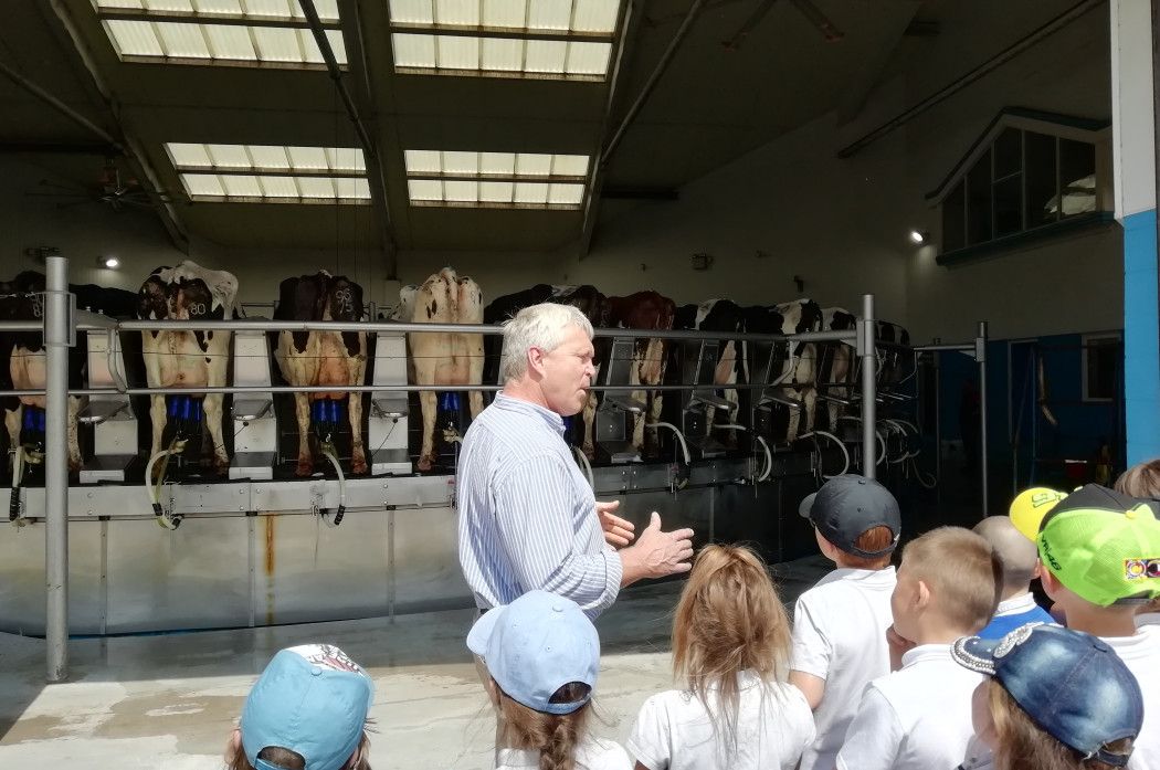 Children watch cows being milked