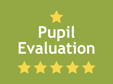 Pupil Evaluation