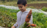 Boy with a carrott