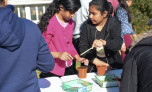 Children planting food