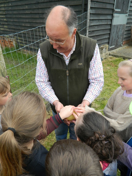 Jonathan showing the children a Rhea egg! 