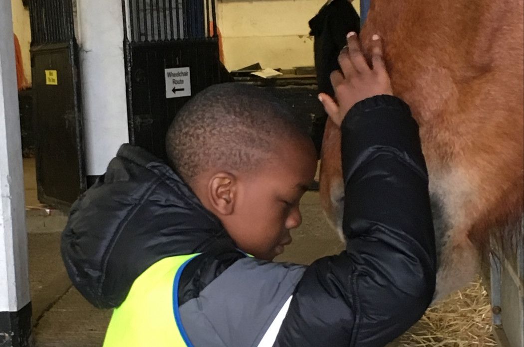 Boy and a horse