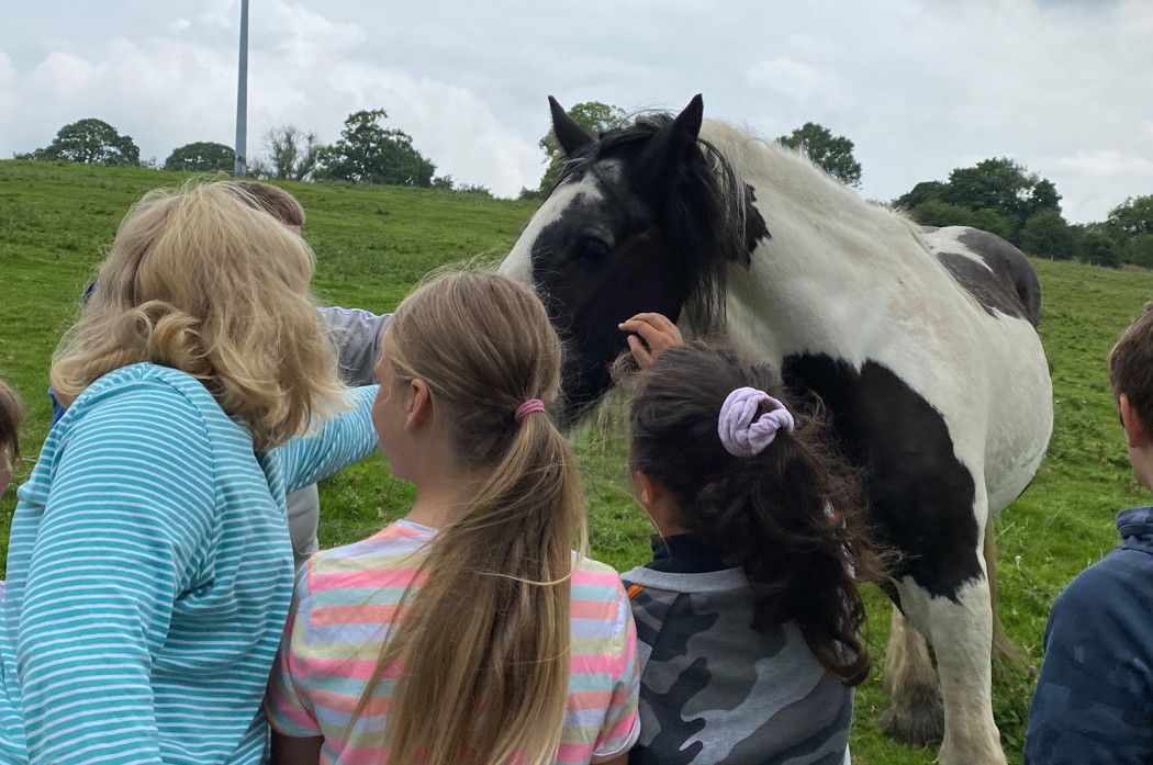 Stroking a pony